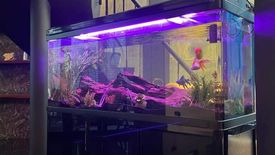 6 Bedroom House for sale in Pilar, Metro Manila