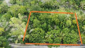 Land for sale in Bangcogon, Cebu