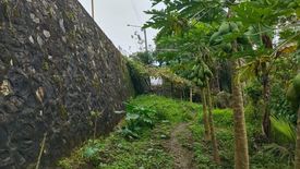 Land for sale in Gaas, Cebu