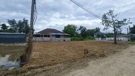 Land for sale in San Kamphaeng, Chiang Mai