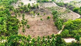 Land for sale in Binga, Palawan