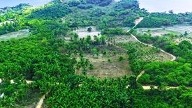 Land for sale in Binga, Palawan