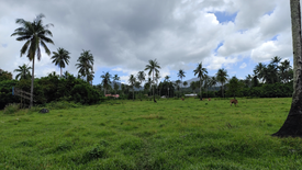 Land for sale in Villa Libertad, Palawan