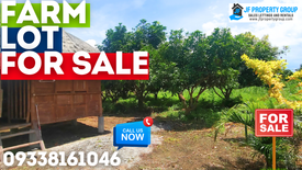 Land for sale in Rufina M. Tan, Leyte