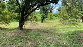 Land for sale in Sai Mun, Nakhon Nayok