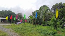 Land for sale in Santa Filomina, Isabela