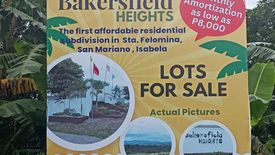 Land for sale in Santa Filomina, Isabela