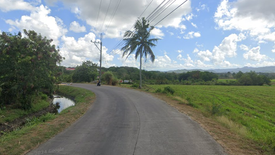 Land for sale in Talipan, Quezon