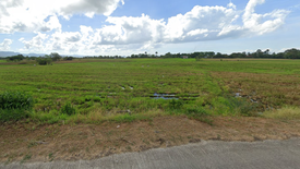 Land for sale in Talipan, Quezon