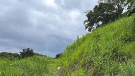 Land for sale in Pasong Tamo, Metro Manila