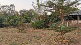 Land for sale in Ban Hong, Lamphun