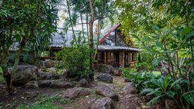 6 Bedroom House for sale in Mae Na Toeng, Mae Hong Son