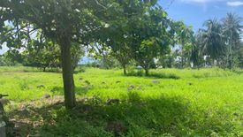 Land for sale in Maluay, Negros Oriental