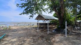 Land for Sale or Rent in Doljo, Bohol