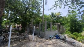 Land for Sale or Rent in Doljo, Bohol