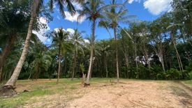 Land for sale in Ao Nang, Krabi