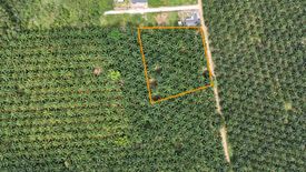 Land for sale in Nong Thale, Krabi