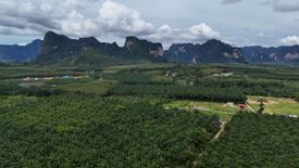 Land for sale in Nong Thale, Krabi