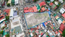 Land for sale in Don Bosco, Metro Manila