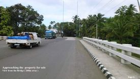 Land for Sale or Rent in Soriano, Agusan del Norte