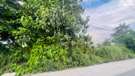 Land for sale in Balutu, Tarlac