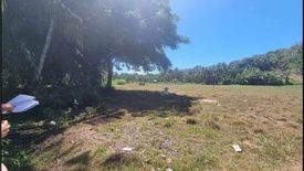 Land for sale in Duyan, Cebu