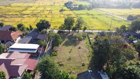 Land for sale in Sa-nga Ban, Chiang Mai