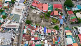 Land for sale in Don Bosco, Metro Manila