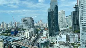 1 Bedroom Condo for rent in Siri at Sukhumvit, Phra Khanong, Bangkok near BTS Thong Lo