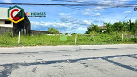 Land for rent in San Nicolas, Tarlac