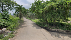 Land for sale in Dacanlao, Batangas