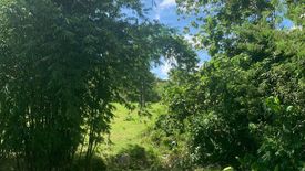 Land for sale in Ilihan, Bohol