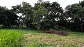 Land for sale in Pasong Tamo, Metro Manila