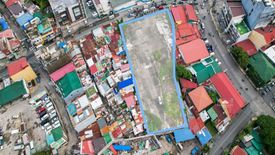 Land for sale in Don Bosco, Metro Manila