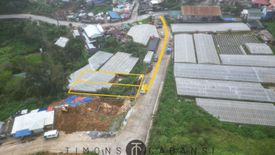 Land for sale in Dontogan, Benguet