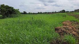 Land for sale in Gov. Ferrer Poblacion, Cavite