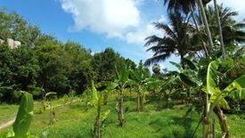 Land for sale in Pa Khlok, Phuket