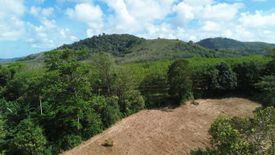 Land for sale in Mai Khao, Phuket