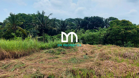 Land for sale in Tolentino East, Cavite