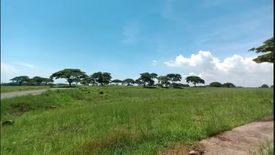 Land for sale in Tanauan, Cavite