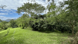 Land for sale in Tolentino East, Cavite