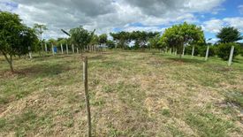 Land for sale in Marcos Village, Nueva Ecija