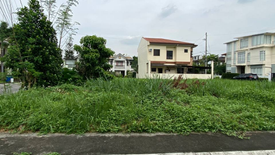 Land for sale in Santo Domingo, Rizal