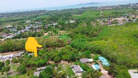 Land for sale in Phe, Rayong