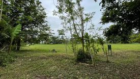 Land for sale in Abrio, Pulong Santa Cruz, Laguna