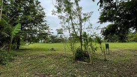 Land for sale in 