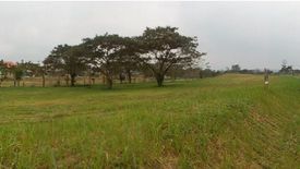 Land for sale in Santo Domingo, Laguna