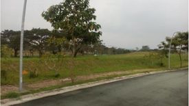 Land for sale in Santo Domingo, Laguna