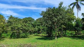 Land for sale in Sapal, Guimaras