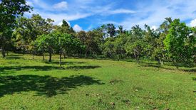 Land for sale in Sapal, Guimaras